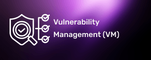 Vulnerability Management Datasheet