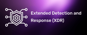 XDR Datasheet